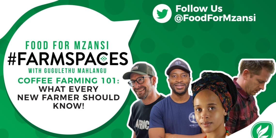 events: This week on Food For Mzansi #FarmSpaces with Gugulethu Mhlangu, we are talking coffee farming. Our panel of experienced coffee farmers are here to answer all of your questions