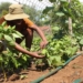 Young Farmer Regomoditswe Teke is investing her time in empowering other youth