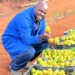 Dr Vusi Khosa