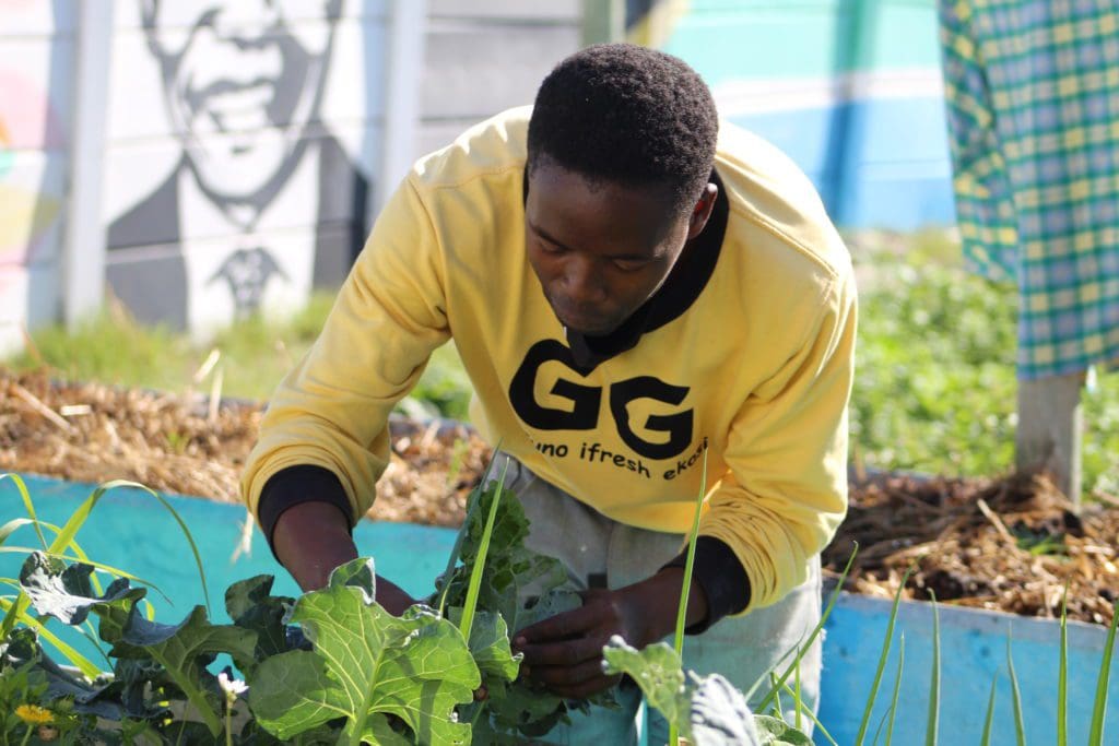Food security: Township farmers say their food security initiatives are being hindered as a result of flooding during rainy seasons. They are calling on local municipalities to urgently address this issue. Photo: Supplied/Food For Mzansi