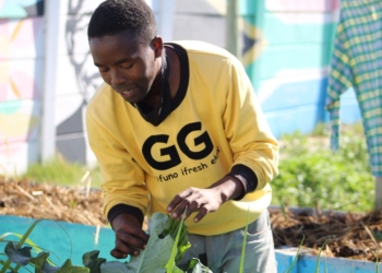 Township farmers say their food security initiatives are being hindered as a result of flooding caused by rain. They are calling on local municipalities to urgently address this issue. Photo: Vateka Halile/Food For Mzansi