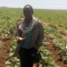 new farmer Corteva