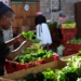 Township farmers in Cape Town have been dealt a double blow and are barely surviving following an increase of electricity and petrol prices. Photo: Supplied/Abalimi Bezekhaya