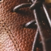 Vegan leather has become a popular and less harmful alternative to animal hide leather. Photo: Supplied/Food For Mzansi
