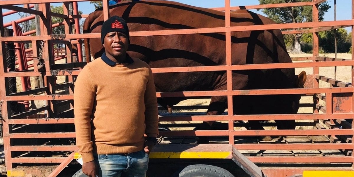 Olerile Lekgetho, a livestock and vegetable farmer from North West, was one of the ten young farmers who received a Bonsmara bull from the provincial department of agriculture and land reform. Photo: Supplied/Food For Mzansi