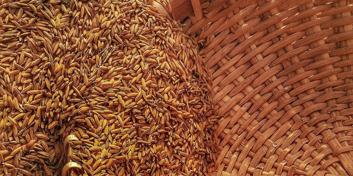 The widespread anarchy in KwaZulu-Natal and Gauteng is threating fuel. This, in turn, might be a severe blow for grain farmers. Photo: Supplied/Food For Mzansi