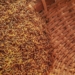 The widespread anarchy in KwaZulu-Natal and Gauteng is threating fuel. This, in turn, might be a severe blow for grain farmers. Photo: Supplied/Food For Mzansi