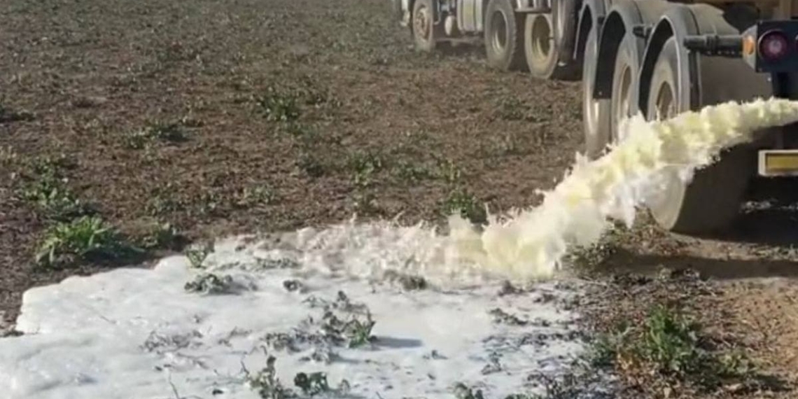 Dairy farmer Rob Stapylton-Smith from Ixopo, south of Pietermaritzburg, was forced to dump milk because it could not be delivered due to the protest action in KwaZulu-Natal. Photo: FarmingPortal