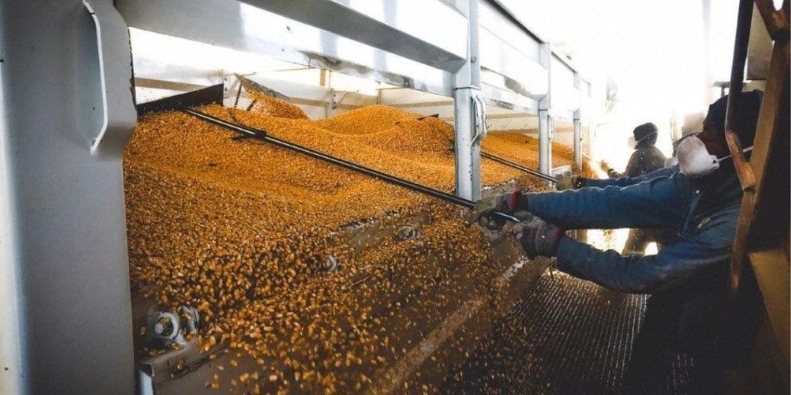 Through its proud involvement with organisations such as Agbiz, Agbiz Grain and the Grain Handling Organisation of South Africa, VKB plays a leading and participating role in the grain industry. Photo: Supplied/VKB