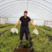 Workshop: Spier Food Garden Workshop – Making Compost Easy