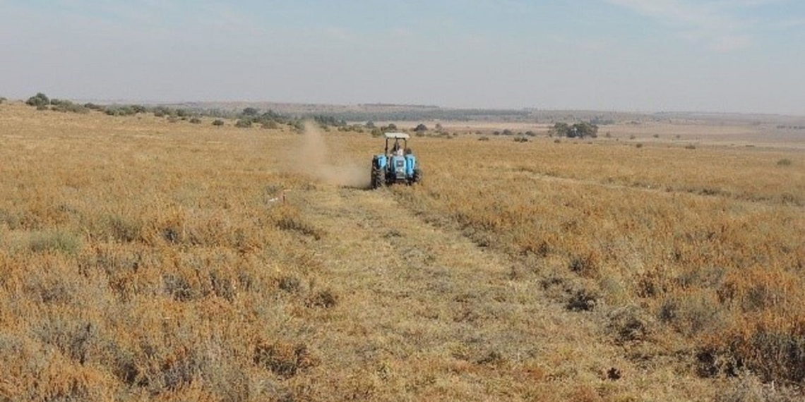 An ex senior official in the Eastern Cape department of agriculture, land reform and rural development has been found guilty of fraud of more than R2.6m.Supplied/Food For Mzansi
