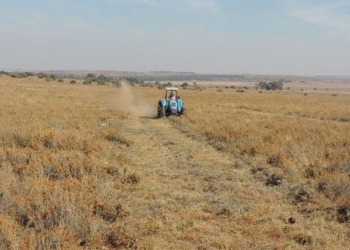 An ex senior official in the Eastern Cape department of agriculture, land reform and rural development has been found guilty of fraud of more than R2.6m.Supplied/Food For Mzansi