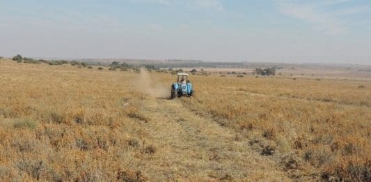 An ex senior official in the Eastern Cape department of agriculture, land reform and rural development has been found guilty of fraud of more than R2.6m.Supplied/Food For Mzansi