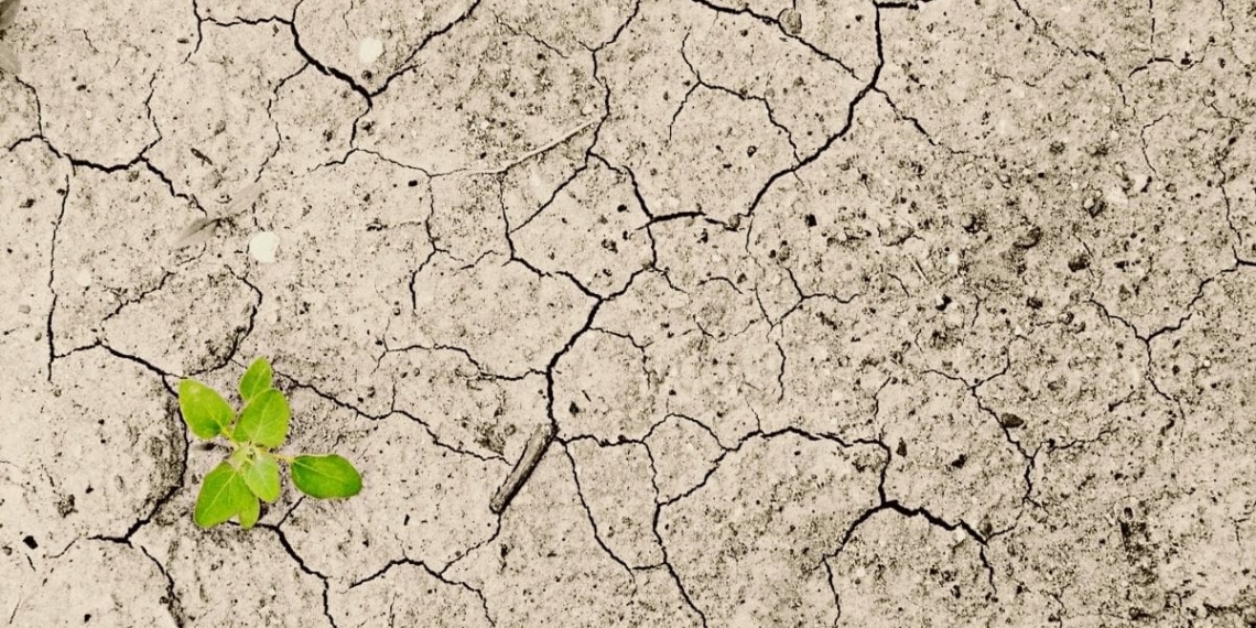Climate change is already a measurable reality posing significant social, economic and environmental risks and challenges globally. Like many other developing countries, South Africa is especially vulnerable to the impacts of climate change. Photo: Supplied/Food For Mzansi