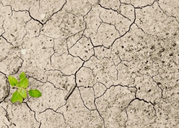 Climate change is already a measurable reality posing significant social, economic and environmental risks and challenges globally. Like many other developing countries, South Africa is especially vulnerable to the impacts of climate change. Photo: Supplied/Food For Mzansi