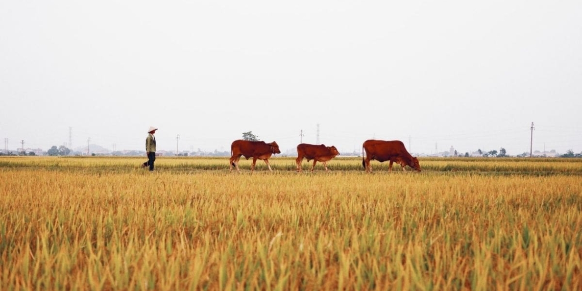 diversify your farming methods