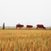 diversify your farming methods