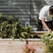 intercropping garden