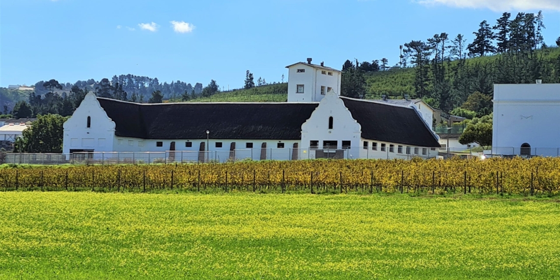 A boost for black-owned wine enterprises will soon take shape on Nietvoorbij.