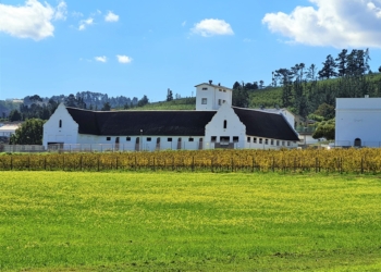 A boost for black-owned wine enterprises will soon take shape on Nietvoorbij.