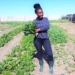 Sinethemba Botha calls her Western Cape-based garden a food forest packed with carrots, peas, beetroot, broccoli, spinach, cabbage, onion, red onion, kale, parsley, coriander, African kale and much more. Photo: Supplied/Food For Mzansi