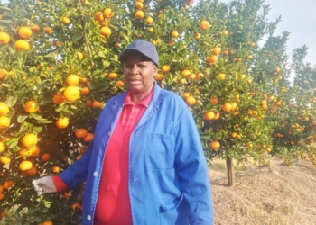 Noluthando Mbilase is the proud owner of a citrus farm in the Eastern Cape, and faced many challenges to get where she currently is. Photo: Supplied/Food For Mzansi