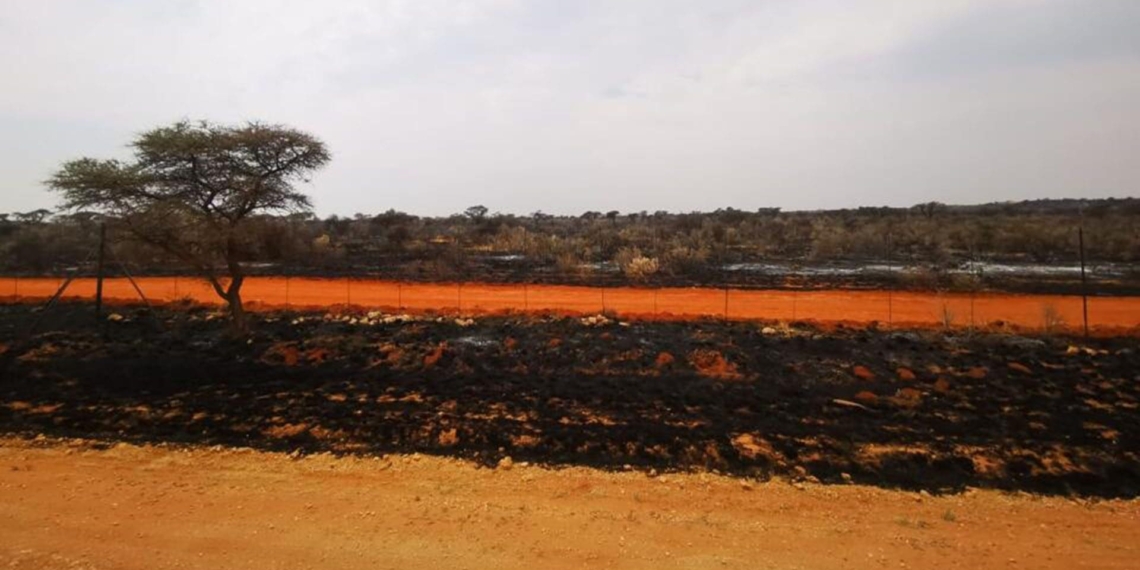 Out of control: Veld fires leave farmers' pockets in ashes