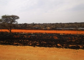 Out of control: Veld fires leave farmers' pockets in ashes