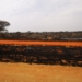 Out of control: Veld fires leave farmers' pockets in ashes