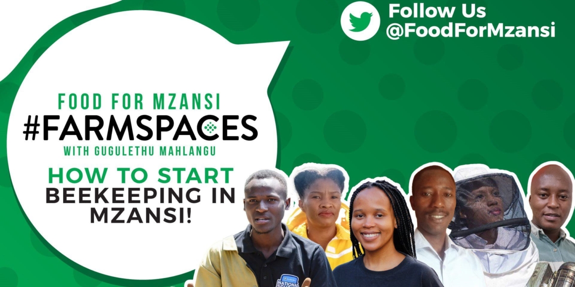 On this week's Food for Mzansi #FarmSpaces, with Gugulethu Mahlangu, we will be discussing beekeeping, which can be done as a hobby or a commercial operation. Photo: Supplied/Food for Mzansi