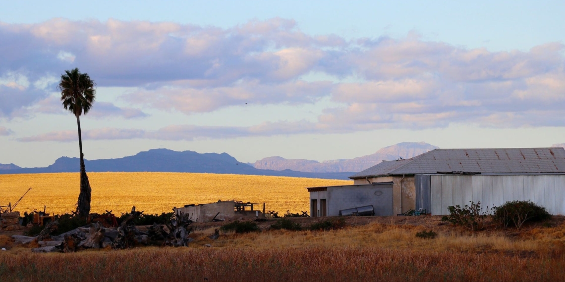 SAPTU proposes a sliding scale for the minimum wage based on experience and training in order to invest in skill development, reduce unemployment, and gradually increase employee salary. Photo: Supplied/Food For Mzansi