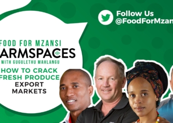 agriculture events: Join us on Twitter for Food For Mzansi #FarmSpaces, every Monday at 6:00pm. This week's #FarmSpaces features, from left, Sifiso Ntombela, Justin Chadwick, and Gugulethu Mahlangu. Photo: Supplied/Food For Mzansi