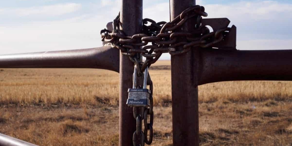 A traditional healer claims to have discovered the bodies of two parents and their three children on the Toekoms farm outside Harrismith in the Free State. Photo: Supplied/Food For Mzansi