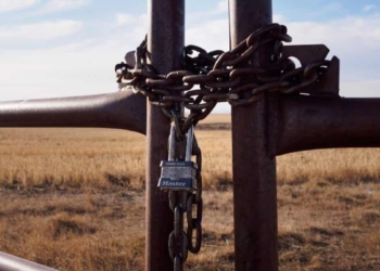 A traditional healer claims to have discovered the bodies of two parents and their three children on the Toekoms farm outside Harrismith in the Free State. Photo: Supplied/Food For Mzansi