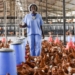 In celebration of Women’s Day, the South African Poultry Farmers and Suppliers Association (SAPFSA) will be setting up two future farmers with everything they will need to start chicken farming. Photo: Supplied/Food For Mzansi
