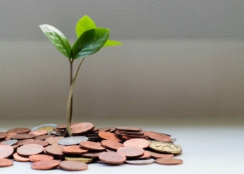 Avoiding these estate planning mistakes can help safeguard a farming business as it is passed on to the next generation. Photo: Supplied/ Food For Mzansi