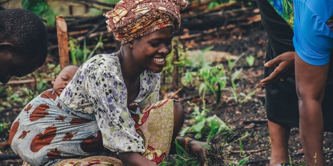 smallholder farmers