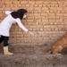 World Rabies Day is a global day of action and awareness dedicated to rabies prevention. Photo: Supplied/Flickr