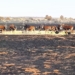 Farmers in the Free State suffered huge losses recently with more than 340 000 hectares of agricultural land having been engulfed. Photo: Supplied/Food For Mzansi