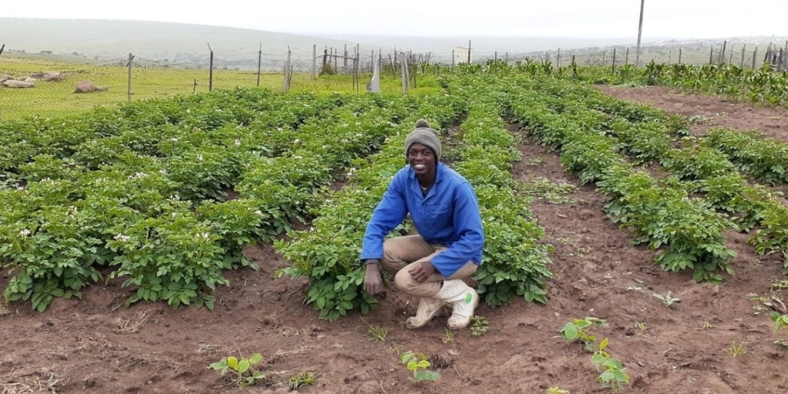Simanye Sonkebe is a small scale farmer for Dutywa in the Eastern Cape with hopes of being a commercial farmer one day. Photo: Supplied/ Food For Mzansi
