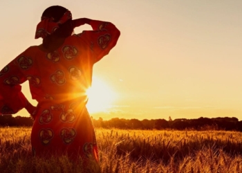 guide to farming in south africa
