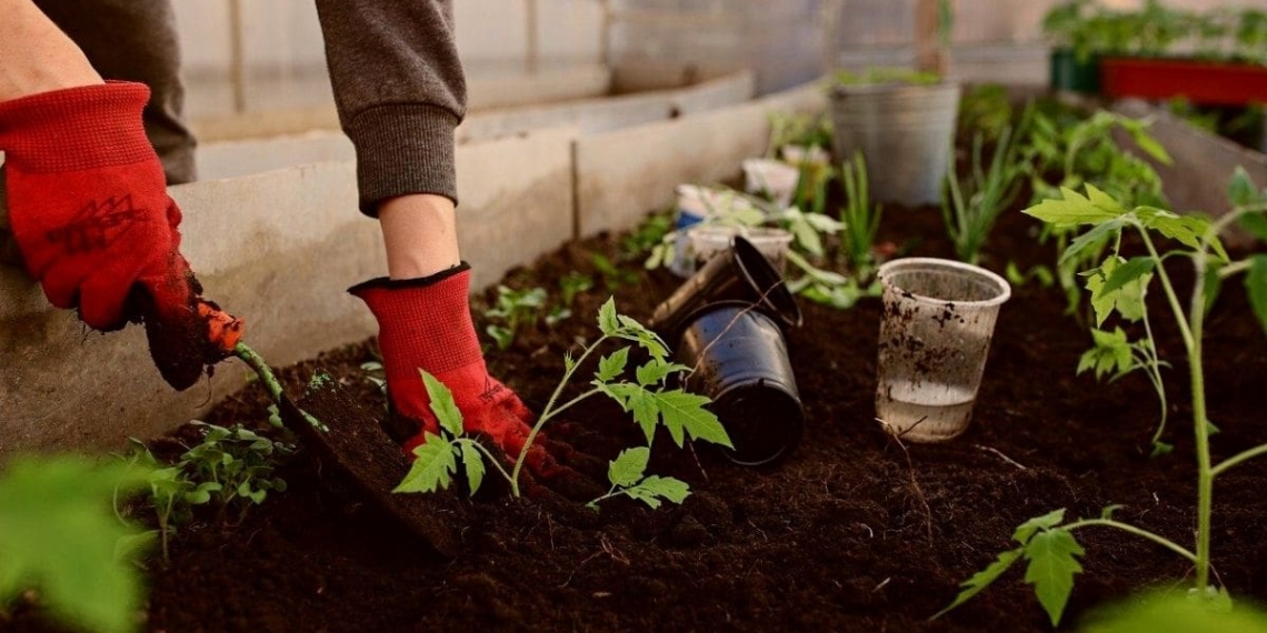 What you need to know about your soil