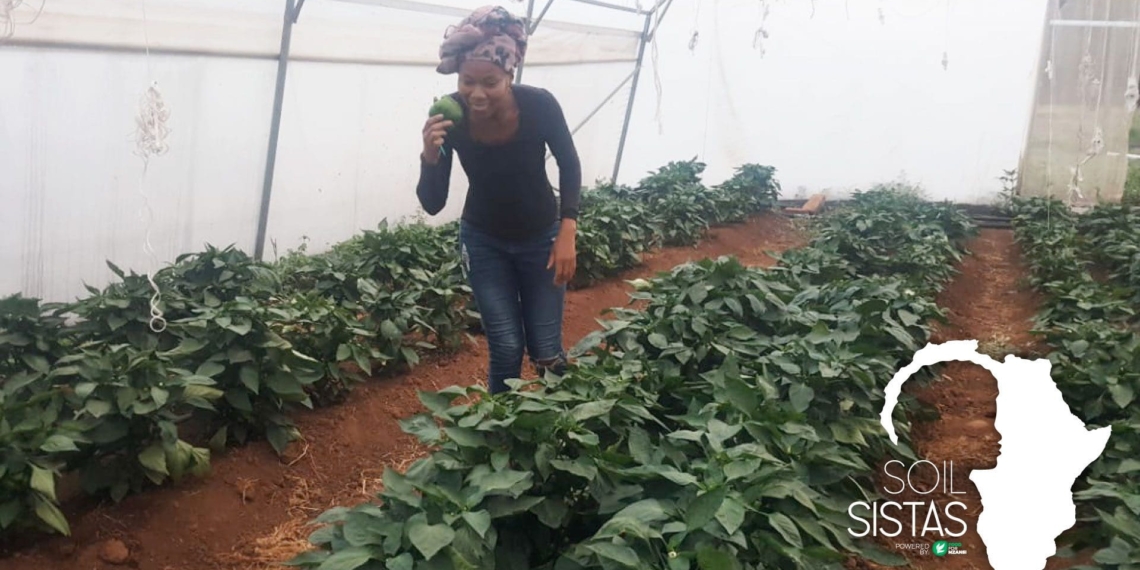 Mapaseka Dlamini no longer wanted to be tied to a desk when she decided to pursue her farming dreams. Photo: Supplied/Food for Mzansi