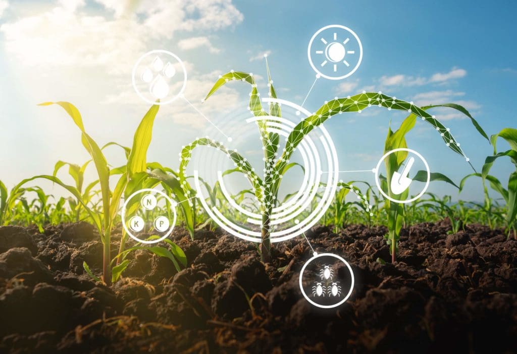 As South Africa’s population continues to grow, ensuring food security into the future will depend on climate-smart and innovative farming methods. Photo: Supplied/Food For Mzansi