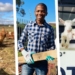 Vuma photo story