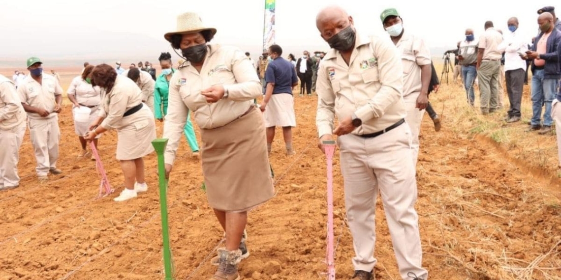 KwaZulu Natal Premier, Sihle Zikalala and his executive council which includes KwaZulu-Natal MEC for the department of agriculture and rural development, Bongiwe Sithole-Moloi have officially launched the 2021 Provincial Multi-Planting Season campaign set to support over 10 800 small-scale producers in KwaZulu-Natal. Photo: Supplied/ Food For Mzansi