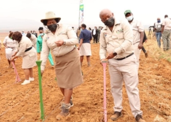 KwaZulu Natal Premier, Sihle Zikalala and his executive council which includes KwaZulu-Natal MEC for the department of agriculture and rural development, Bongiwe Sithole-Moloi have officially launched the 2021 Provincial Multi-Planting Season campaign set to support over 10 800 small-scale producers in KwaZulu-Natal. Photo: Supplied/ Food For Mzansi