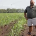 Not all heroes wear capes. In the KwaZulu-Natal town of Mkuze, Dreyer Senekal is known as a farming hero who is transforming the lives of small-scale cotton and sugar cane growers along with his family. Photo: Twitter
