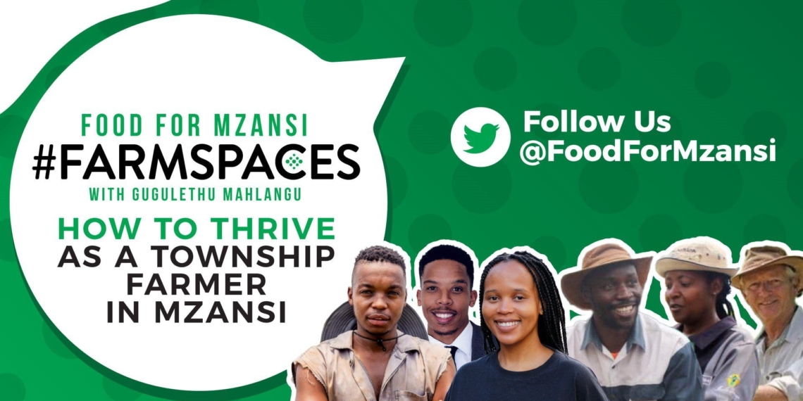 Agriculture in the spotlight: On this week's Food For Mzansi #FarmSpaces, we are talking township farming. Photo: Supplied/Food For Mzansi.