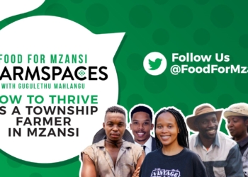 Agriculture in the spotlight: On this week's Food For Mzansi #FarmSpaces, we are talking township farming. Photo: Supplied/Food For Mzansi.